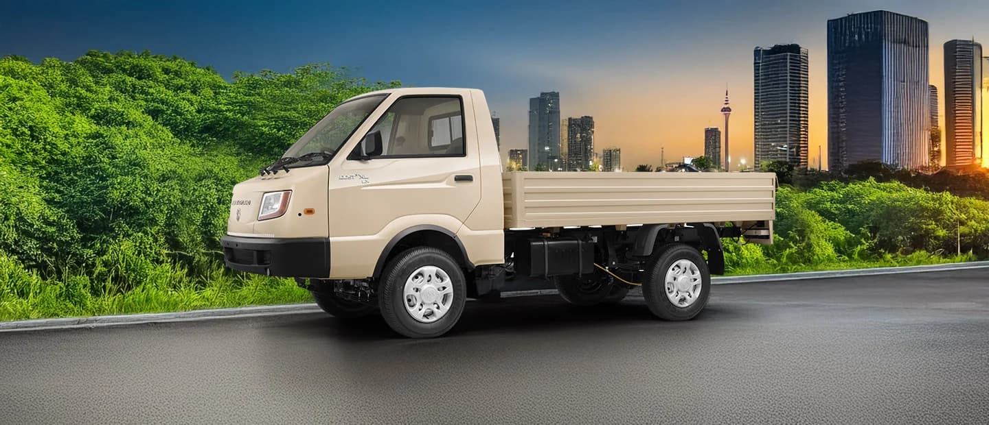 DOST + XL — manufacturer photograph 1